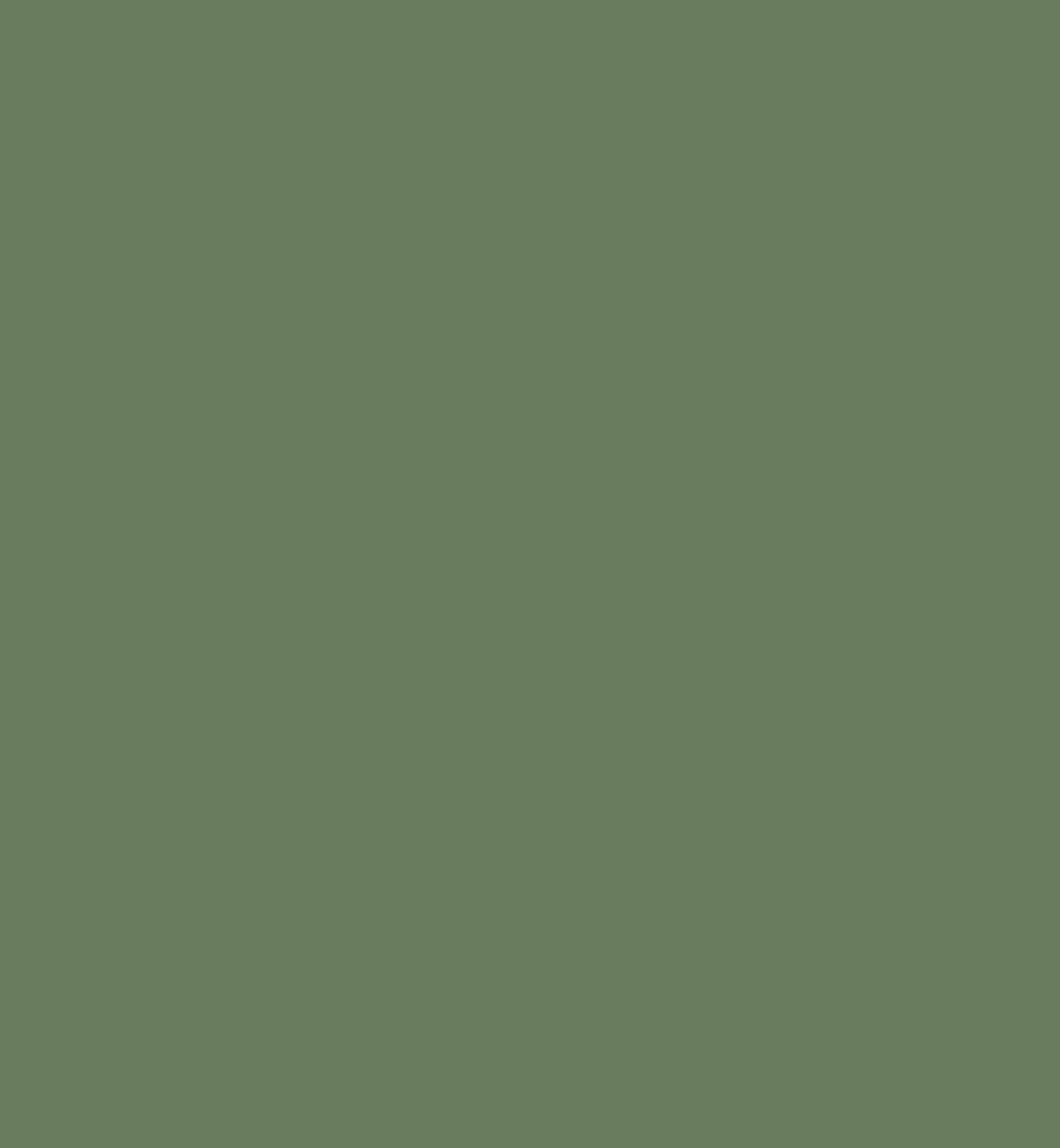 Image 66675336053111